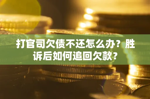 武汉打官司欠债不还怎么办？胜诉后如何追回欠款？
