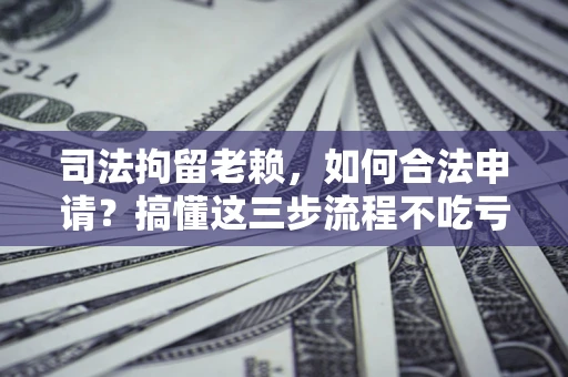 武汉司法拘留老赖，如何合法申请？搞懂这三步流程不吃亏！