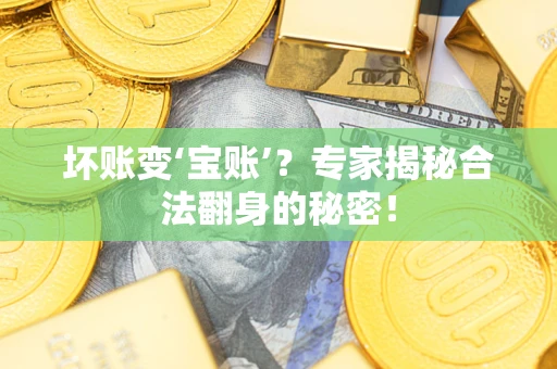 武汉坏账变‘宝账’？专家揭秘合法翻身的秘密！