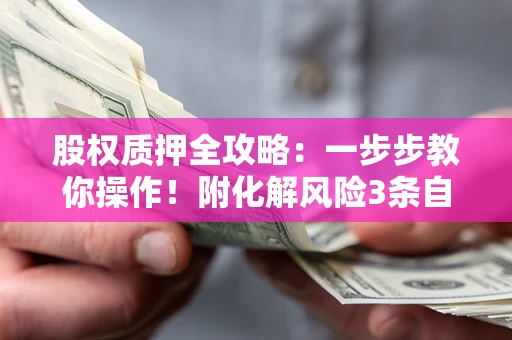 武汉股权质押全攻略：一步步教你操作！附化解风险3条自救法则