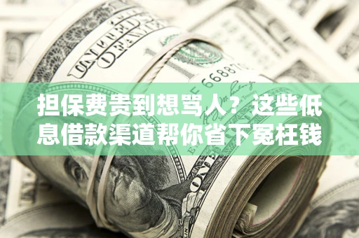 武汉担保费贵到想骂人？这些低息借款渠道帮你省下冤枉钱