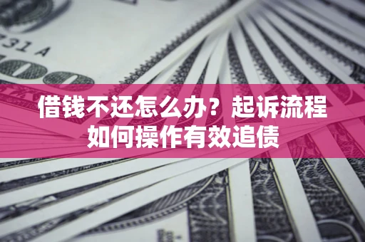 武汉借钱不还怎么办？起诉流程如何操作有效追债